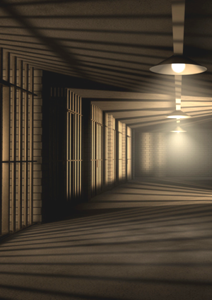 Improvement of Prison Work -The Legal Status of Prison Work-