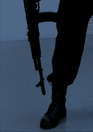 The Actual Conditions and Countermeasures of Organized Crimes of Foreign Residents in Korea
