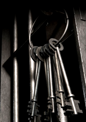 Scientific Treatment of Prisoners for Reducing Recidivism (Ⅰ) : Electronic Monitoring System