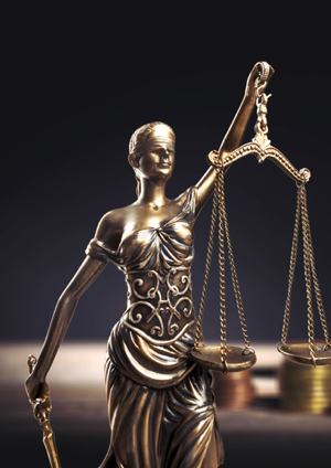 Criminal Justice Policies and Judicial Systems (V) -Evaluation on Civil Participation in Criminal Trials-