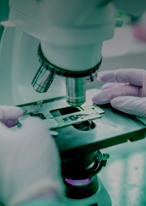 Strengthening the Forensic Science in Korean Criminal Justice System(Ⅱ)