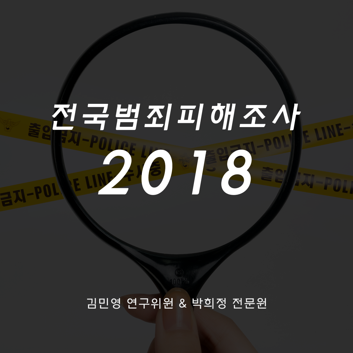 전국범죄피해조사 2018
